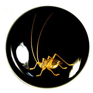 象彦　茶道具　棗　鈴虫 象彦 茶道具 棗 鈴虫